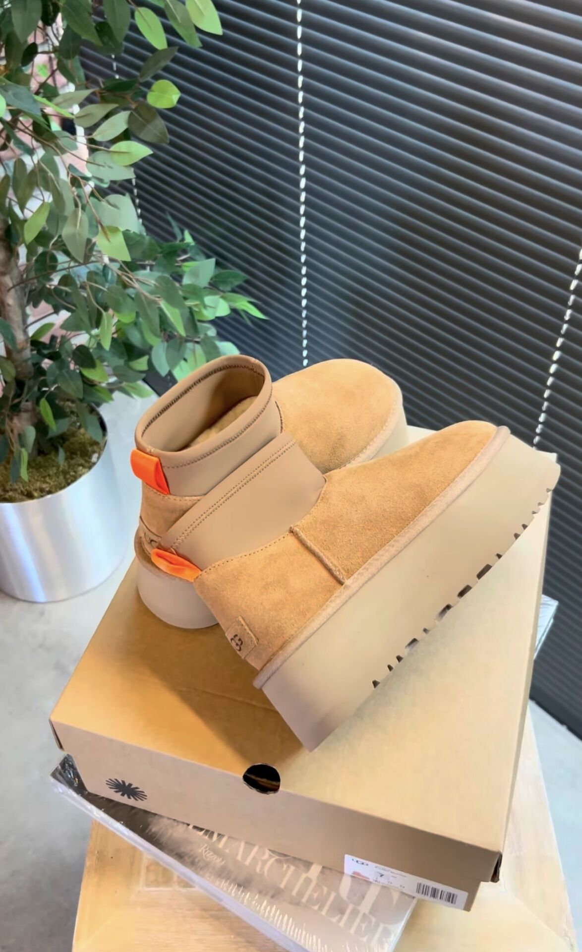 Ugg Dipper Cute